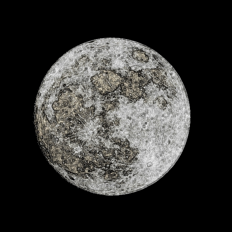Den nye måne, M. L. Larsen